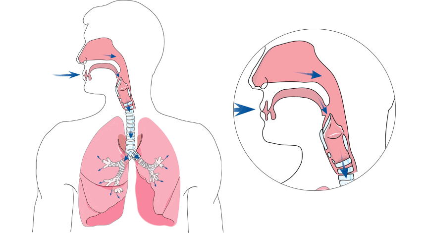 normal-breathing-resmed